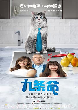初四票房超7.3亿元2026-02-20 《飞驰人生3》曝片段 沈腾90秒极限换胎默契拉满2026-02-20 太敢拍了！